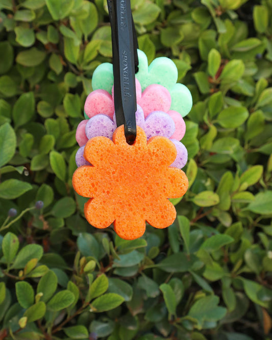 Spongelle Body Wash Buffer